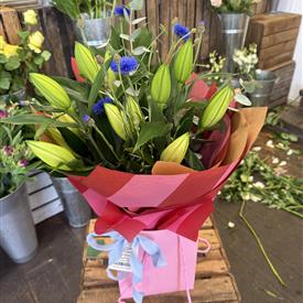 Lily Lovers 