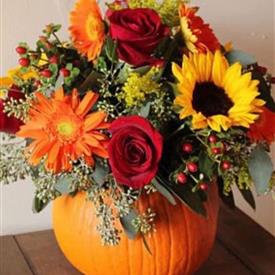 Pumpkin workshop