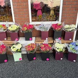 Mum's Hydrangea Planter