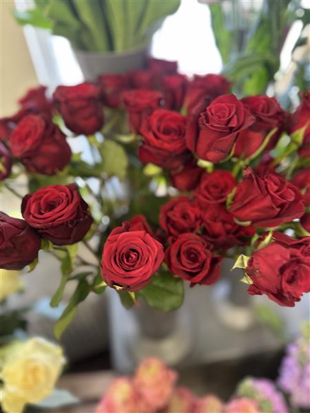 Rotherham Roses Single Red Roses - Funeral Flowers Rotherham